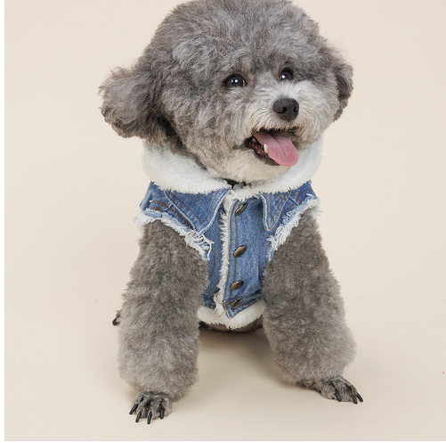 Denim Dog Jacket, Hiking Jacket for Dogs