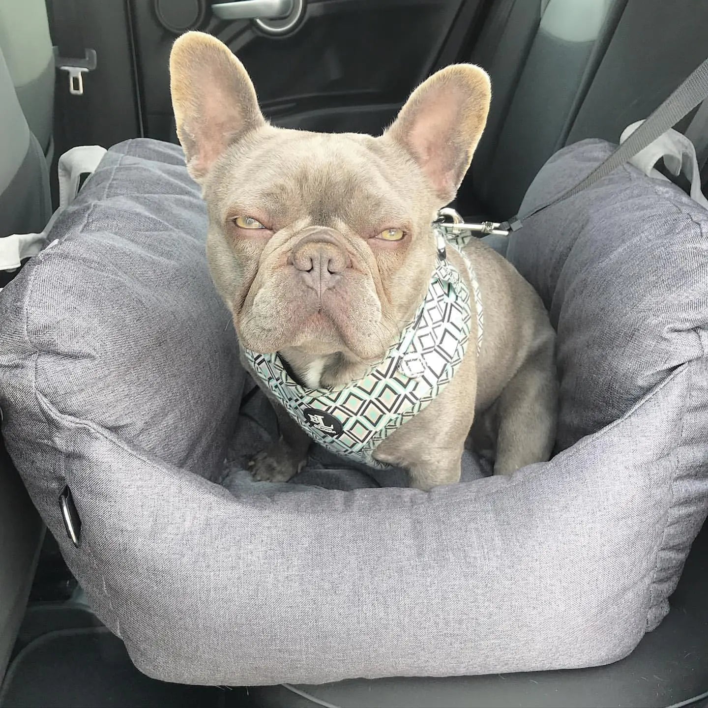 Plush Pet Travel Bed