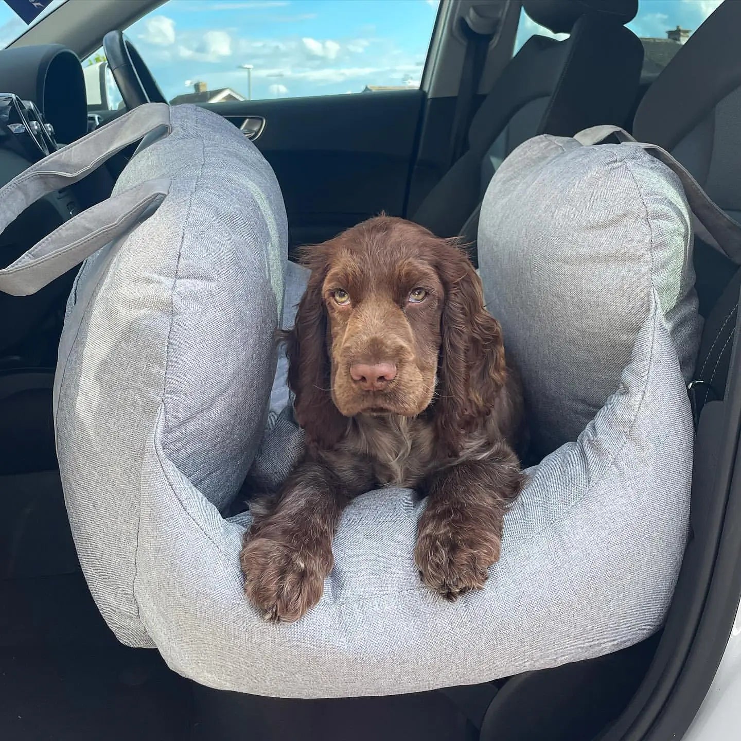 Plush Pet Travel Bed