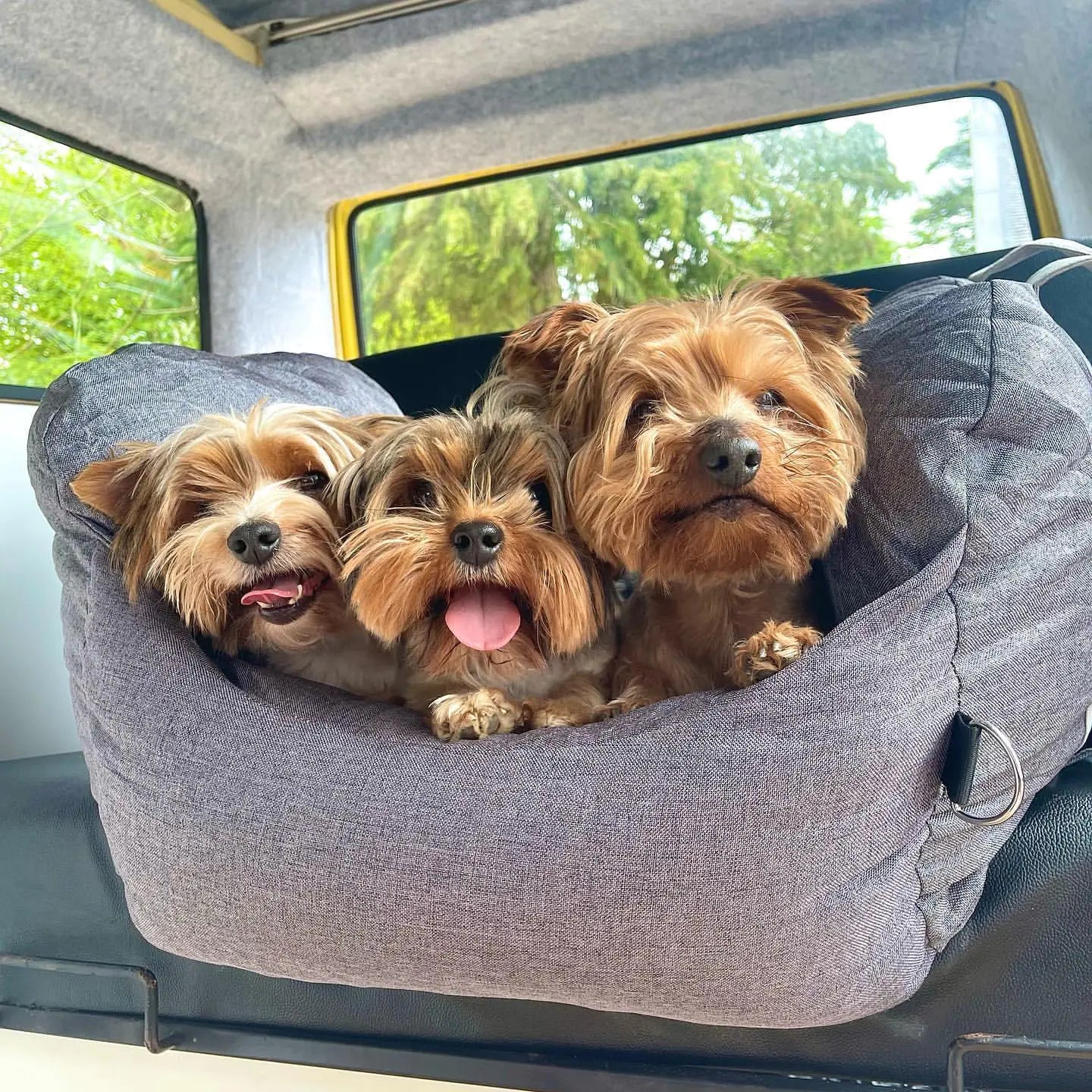 Plush Pet Travel Bed