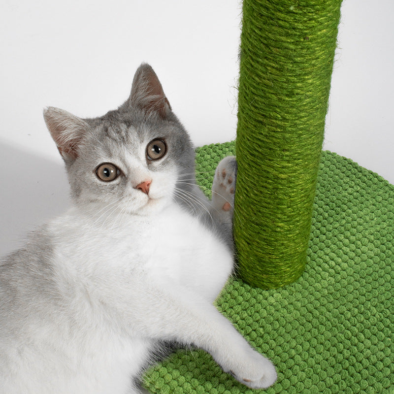 Cat Scratching Post - Coconut or Cactus