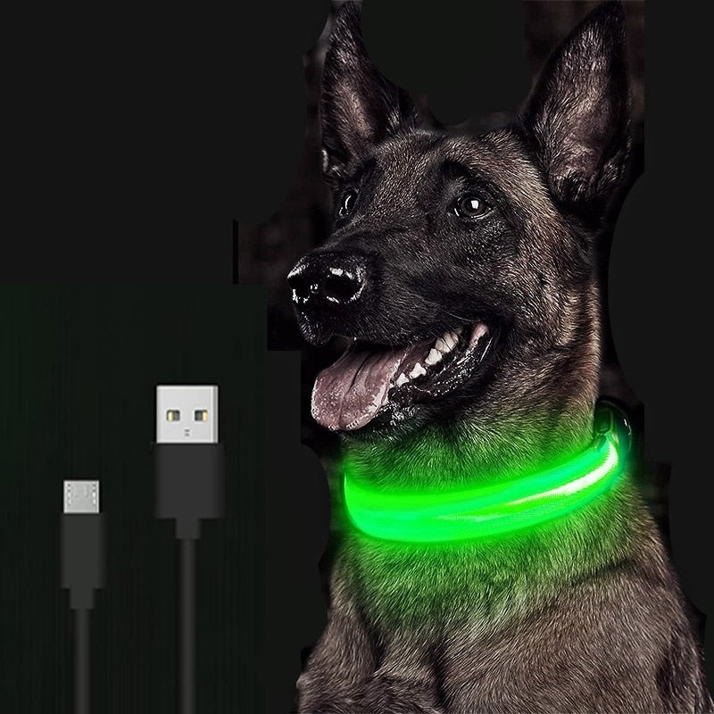 LED Dog Collar