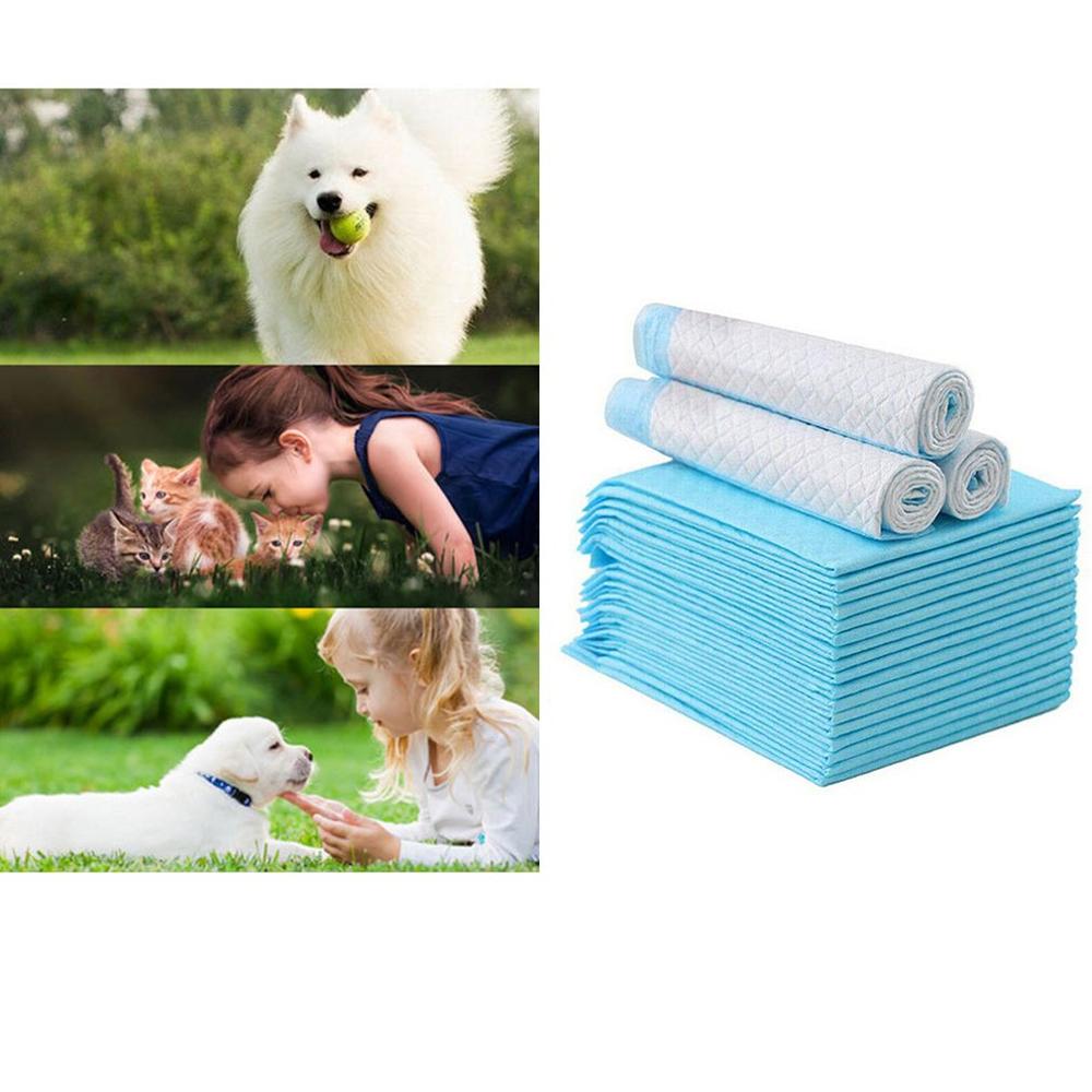 Super Absorbent Pet Potty Mats